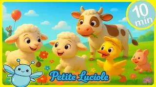 L&rsquo;Aventure Color&eacute;e du Petit Mouton 🐑🌸 + Chansons de Fleurs pour Enfants | Petite Luciole