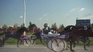 Live Harness Racing with BC Racebook