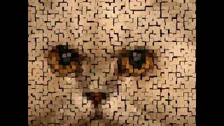 Pixel Cat