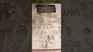 Famous Graves - Vol. 204: Steve Irwin