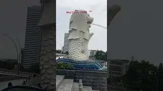 Merlion Park Singapore 🇸🇬 #merlionpark