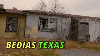BEDIAS TEXAS: BEE- DICE