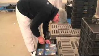 WSS orderpicking