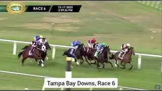 Tampa Bay Downs and Turf Paradise Horse Racing Replays - Full Highlights 17 Dec, 2025