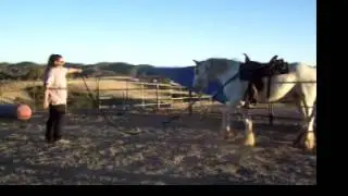 Keela training video 1 002