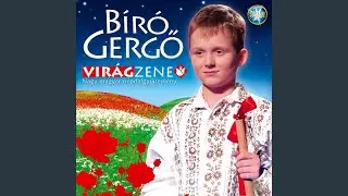 Csillagok, csillagok