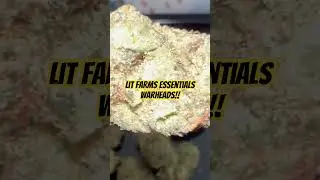 Has LIT Farms essentials improved?! #thcareview #hempbenefits #hempindustry