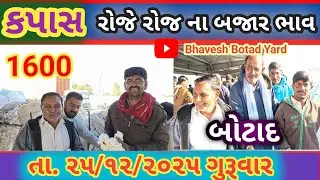 આજે કપાસ માં ફૂલ તેજી 25/12/2025 Aaje Kapas Ma Full Tejee #bhaveshbotadyard 