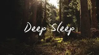 The Quiet Wisdom of Trees | Meditation for Sleep & Calm