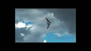 HQ Kites - Fellow