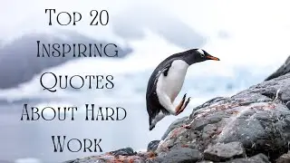 Top 20 Inspiring Quotes About Hard Work