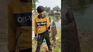 village pond rohu .#fishing #fish #shortvideo #short #viralshort #trendingshorts #rohu
