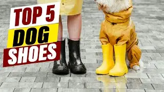 The Best Stay-On Dog Boots: No More Paw Problems