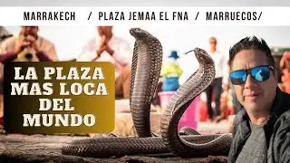 MARRAKECH: JEMAA EL-FNA, ¡La Plaza Más LOCA del Mundo! 🐍 Guía para Descubrirla (Marruecos 4K)