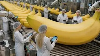 How They Make Millions of Banana Chips  Amazing Food Factory Full Process
