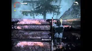 #2 Alan Wake PL