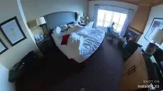 Edgewater Seattle  ocean view room