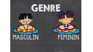 Le genre et le nombre