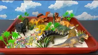 Dinosaurs Stegosaurus, T-rex, Velociraptor, Triceratops #dinosaur #dinosaurtoy
