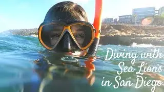 BUSINESS TRIP À SAN DIEGO (avec Cindy Cournoyer) | Vlog 14