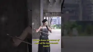 The mysterious performance of traditional Chinese musical instruments, the pipa#music #cover #china