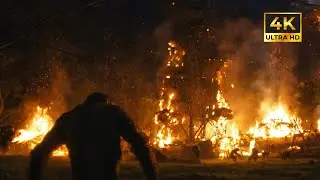 The Kingdom of the planet of the Apes | Movie Clips | 4K ultra HD