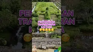 TRANSMIGRASI KALIMANTAN UTARA