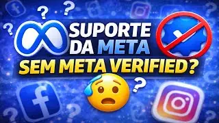 Suporte da Meta Sem Meta Verified: Quais S&atilde;o as Op&ccedil;&otilde;es Reais?