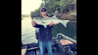 Striper Fishing Adventure on the Sheepscot River