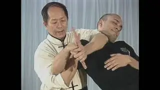 Chin Na In Depth Course 02