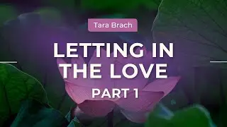 Letting In The Love | Tara Brach on Belonging and Connection (Part 1)