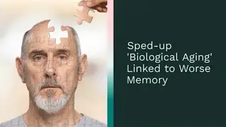 Cracking the Memory Code | How Epigenetic Clocks Redefine the Aging Process | Epigenetic Clock