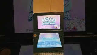 Evolution Kirby Play Ds