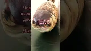 проверим) #_8wr