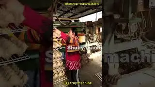 Efficient Egg Tray Making Machine in Action | High-Quality Egg Tray Production Process