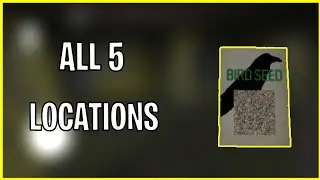 All 5 Locations Of Bird Seed / Granny 1.7 Update.