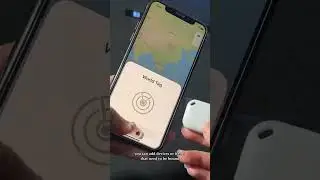 World Tag item finder works with apple find my