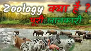What is Zoology  How Many Branches In Zoology  Full Information &ndash; Hindi &ndash; 2021