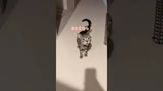 お出迎えに来てくれるえむちゃん😽🧡熱烈歓迎🌟