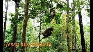DANIELA deep scare | Daniela was drop down by DeeDee but JESSIE hug her drop down from hight tree.