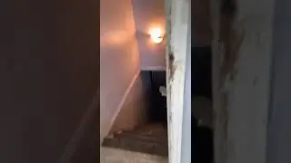 Renovation old house low price working and give you new 1 messages me