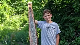 How to Tan and Board a Rattlesnake Skin.