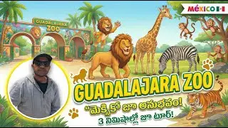 Guadalajara Zoo in 3 Minutes 🦁 | Zoo Experience Mexico 🇲🇽