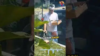 Anak Berusia 2 Bulan, 7 Momen Laura Theux & Indra Brotolaras Jalani Upacara Dedinan