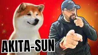 🔥AKITA ON BSC __ PR&Eacute;-VENDA HARDCAP COM POTENCIAL ENORME🔥#akita #babydogecoin