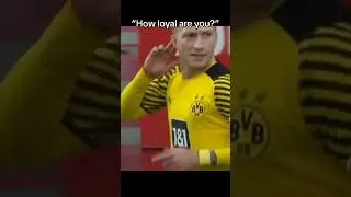 If yk yk #marcoreus #reus #dortmund #brussiadortmund #bundesliga #germany #viral #trending #loyal