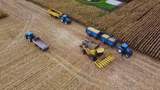 🌽𝙆𝙐𝙆𝙐𝙍𝙔𝘿𝙕𝘼 𝙉𝘼 𝙕𝙄𝘼𝙍𝙉𝙊🌽𝙉𝙀𝙒 𝙃𝙊𝙇𝙇𝘼𝙉𝘿 𝘾𝙓 8.70 𝙒 𝘼𝙆𝘾𝙅𝙄🌽12,5𝙏/𝙃𝘼🌽𝙉𝙃 𝙏7.270☆𝙏6.160☆𝙏𝙈.135