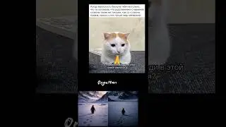 #music #memes #meme #meme #rekkkkkk #funny #fupシ #humor #automobile #rek #viral #edit #memepage
