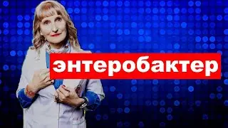род энтеробактер