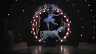 Pinky and Moonbeam from Circus Contraption
